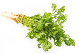 Vegetable 11